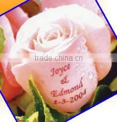 nice look flower letter