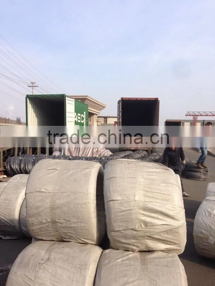 electro galvanized iron wire Q235 Q195 (real factory)