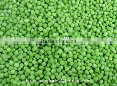 China high quality IQF FROZEN GREEN PEA