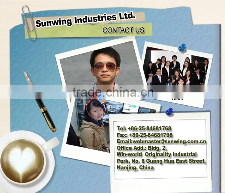 Sunwing China wholesale artificial grass decoration crafts
