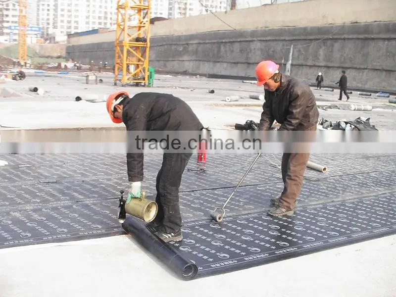 torch on sbs/app modifed bitumen waterproof membrane/sbs/app waterproofing membrane