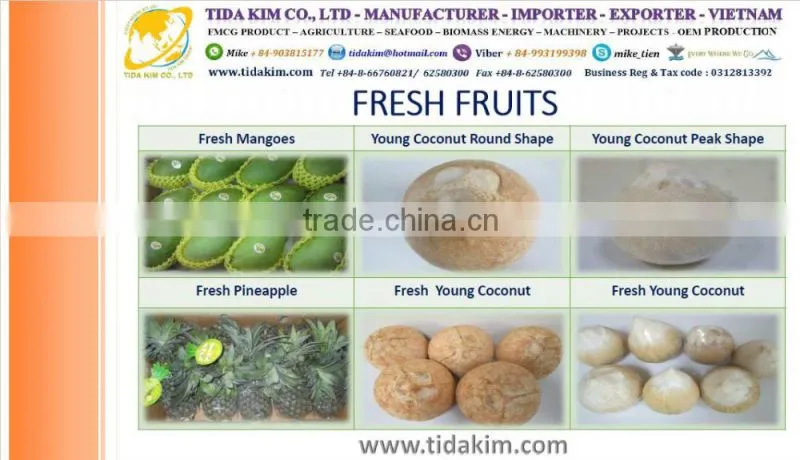 ORGANIC COCONUT WATER UHT TIDA KIM TETRA BOX 330ML 100ML - BLACK PEPPER - VIETNAM CASHEW NUTS- DESICCATED COCONUT