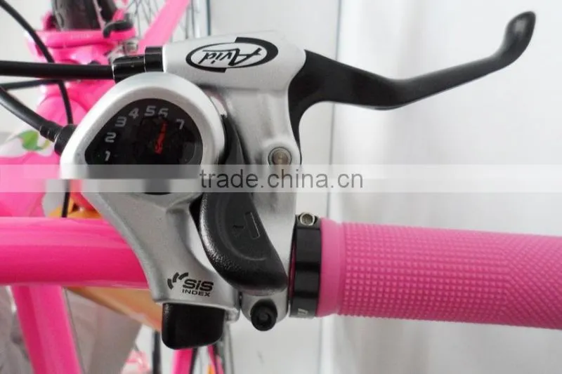 battery ebike/electric bicycle sport with CE and EN15194