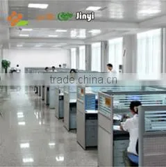 Ningbo Jinyi Global Trade Co., Ltd. company overview - view 2