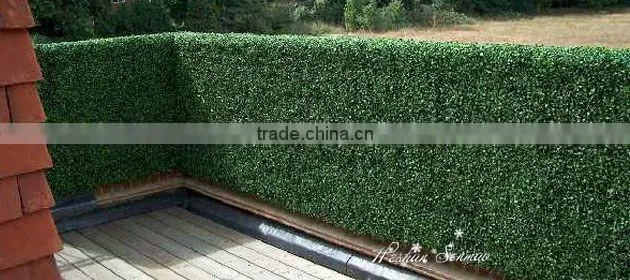 PE Material and Artificial Topiary Hedge Plant Type Milan Grass mat