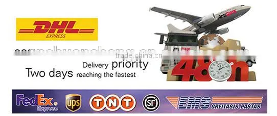 3d eagle flame auto chrome emblem different design high quality