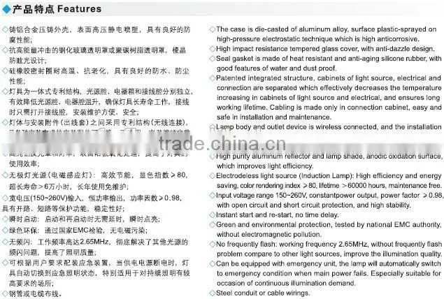 BAD85 explosion proof induction lamp