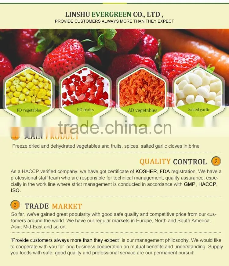 Freeze Dried Fruit Freeze-Dried Strawberry Slice