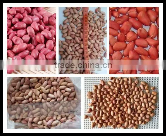 New Crop Peanut kernels ,long and round type for sale