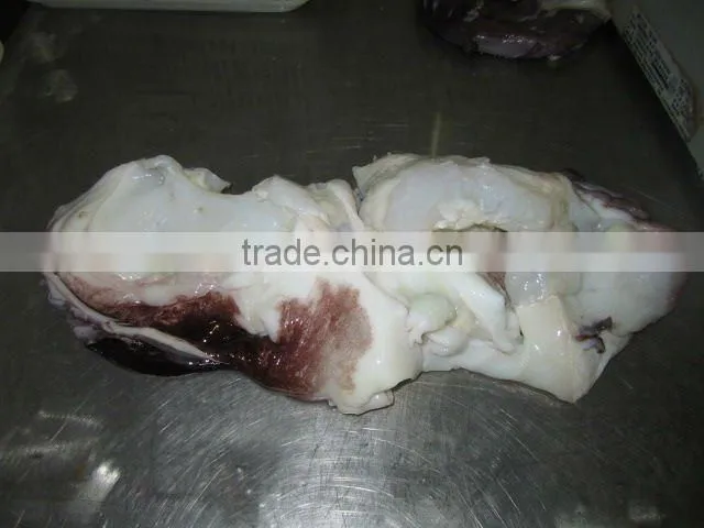 giant frozen squid neck