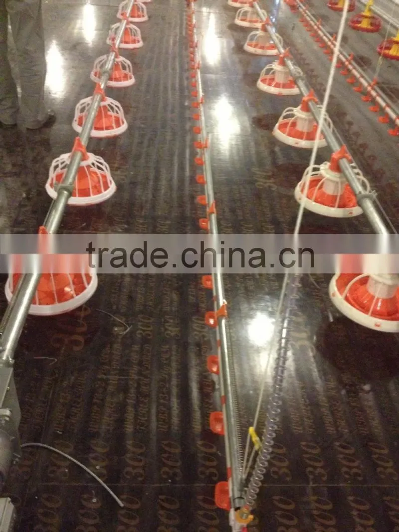 professional steel layer chicken cage equipments
