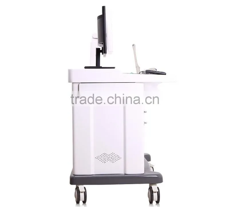 19"LCD ultrasound scanner PRICE With high-end color inkjet printer Display image in real time