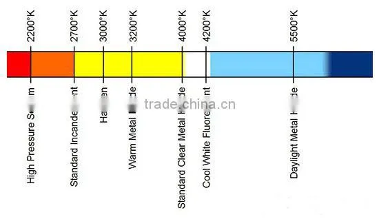 Globe Shape 18W 6400K Lamp 120V From China