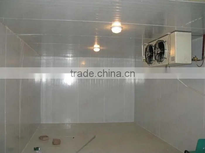 Commercial seafood meat cold room cold drink freezer