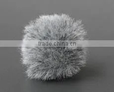 Sport camera voice recorder microphone with clip