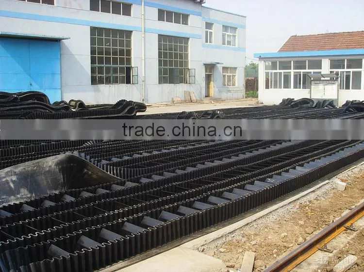 excellent quality large dip angle sidewall for stone belt conveyor China