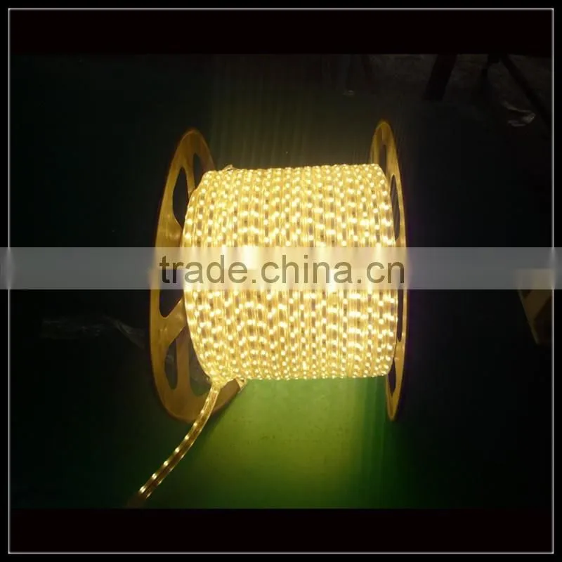 LED strip light can be cut low voltage DC12/24V plastic strip with outdoor/indoor decoration lighting waterproof ip65