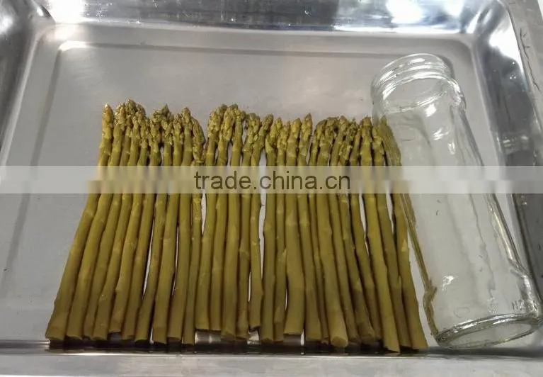 China New crop canned asparagus Canned vegetables Canned White Whole Asparagus