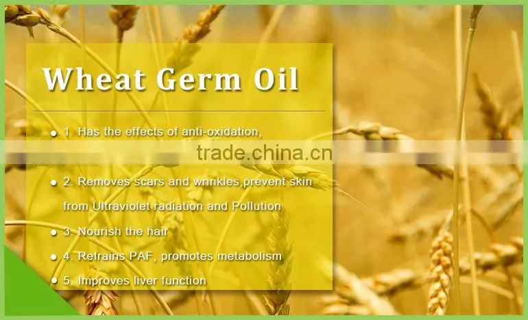 100% natural refined wheat germ oil triticum vulgare