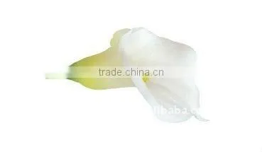 Real Touch Calla Lily in white/Real Touch Medium Calla Lily/PU soft touch