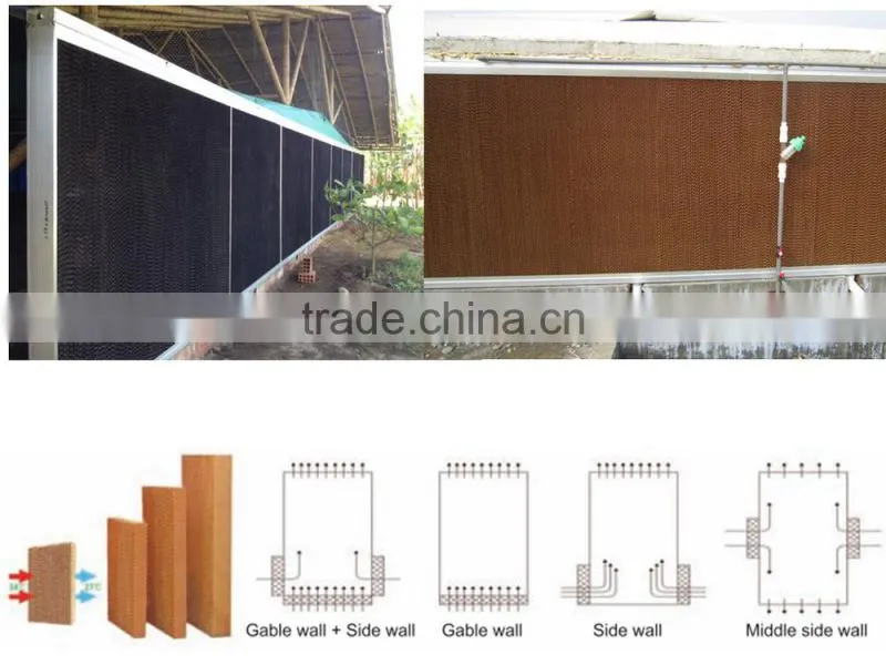 Automatic broiler poultry farm equipment