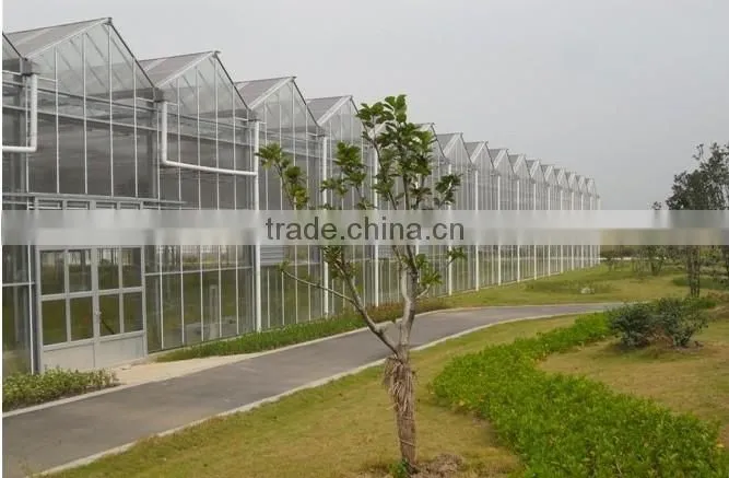 Large Multi-span pig greenhouse , pig house , fiberglass shed