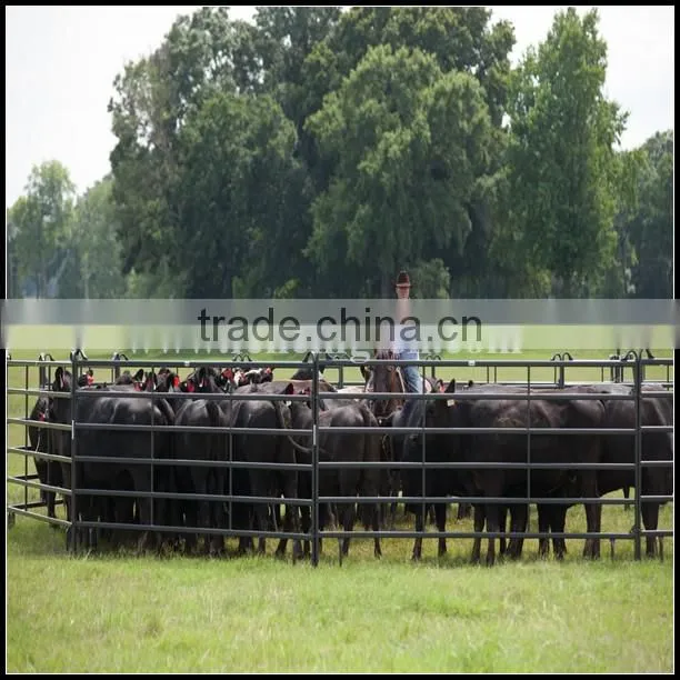 Heavy duty galvanized livestock cattle panel used corral panels