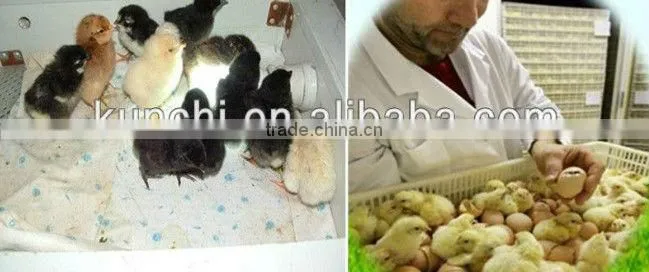 hot sale duck egg incubator with good price