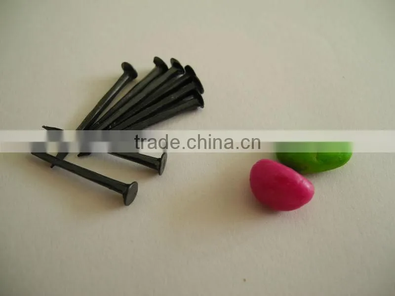 fine blue shoe tack nails