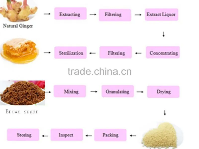 Best price super quality brown sugar ginger tea from China supplier