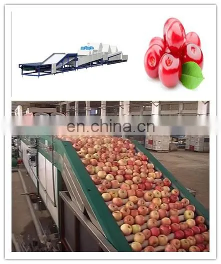 Fruit waxing sorting machine /Apple waxing machine / Citrus waxing machine sorting machine
