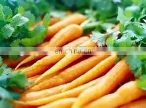 okra slicer machine for the sliced drying vegetable processing