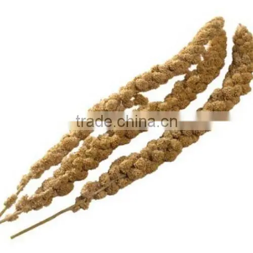 organic millet sprays for birds