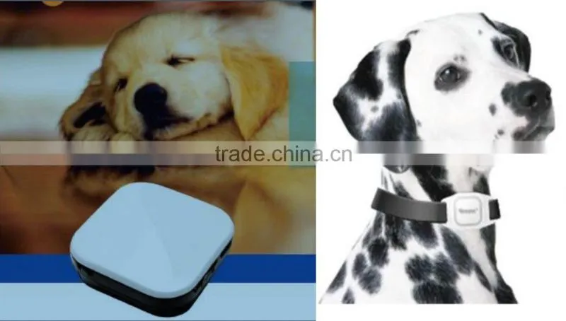 gps tracking device for animals