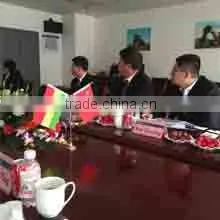 Beijing Huatong Speedyfiber Technology Co., Ltd. company overview - view 2