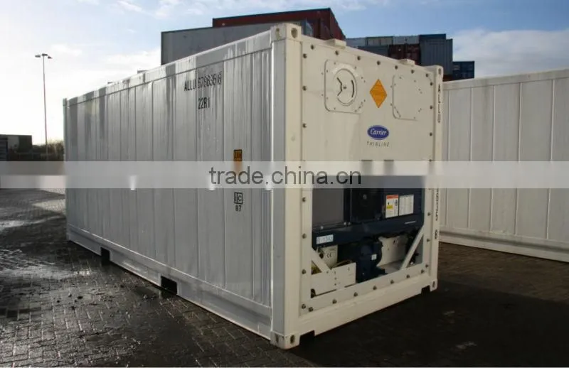 20ft 40ft New Refrigerated Containers for Sale