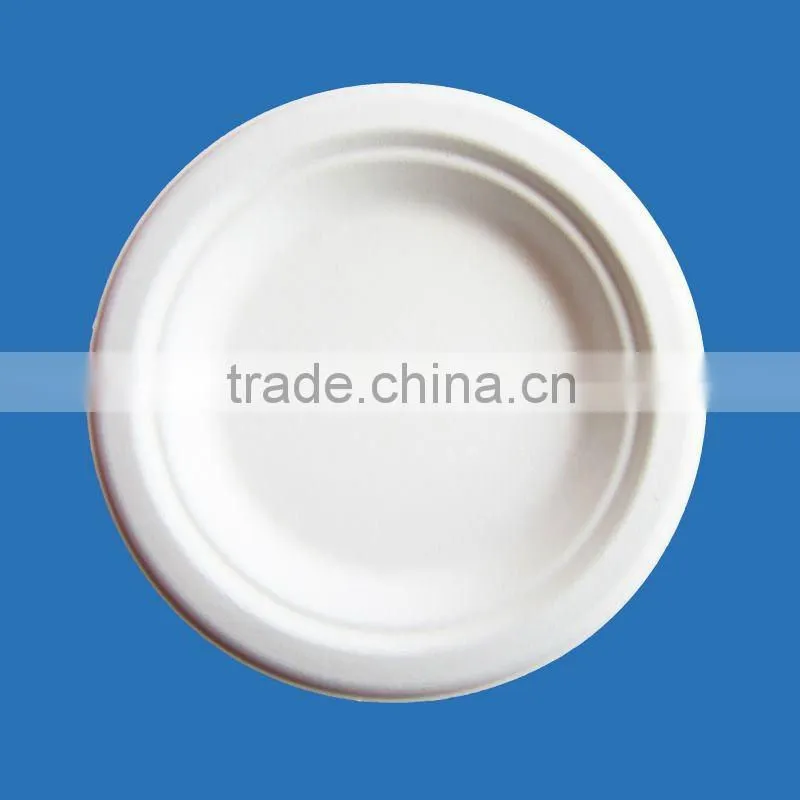 disposable bagasse plate good for environment