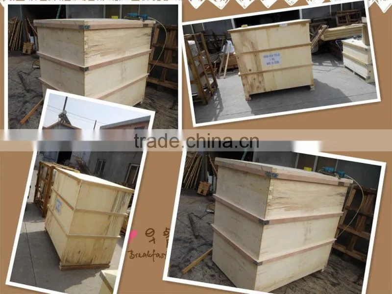 factory direct supply professional korean bean coating equipment manufacture