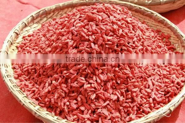new dried goji berry snack food