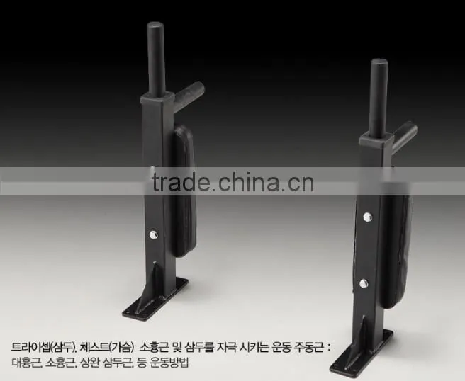WALL MOUNT DIPPING BAR/ Gym Equipment/ Rack
