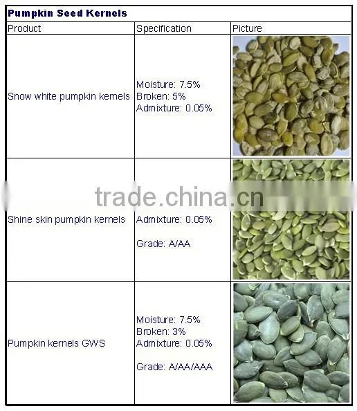 Light Green Pumpkin Seeds