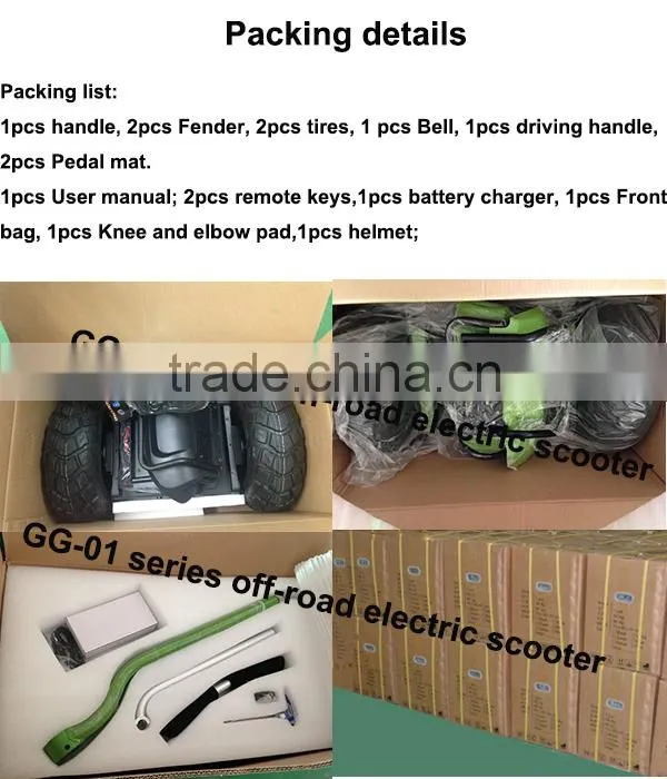 48V two wheeled self balancing electric personal transport vehicle