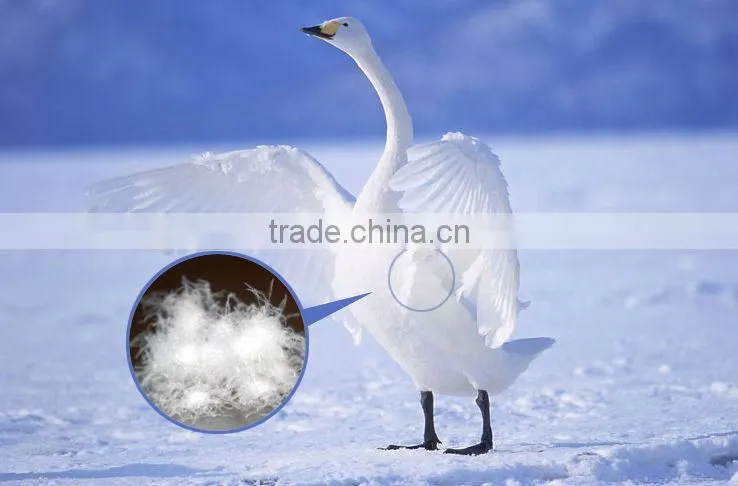 Washed 90% White Goose Down