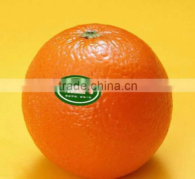 Fruit design paper stickers& custom label design