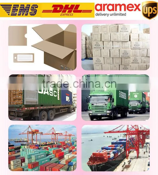 Take away food container disposable plastic food container