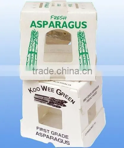 Eco-friendly pp corflute stackable vegetable box