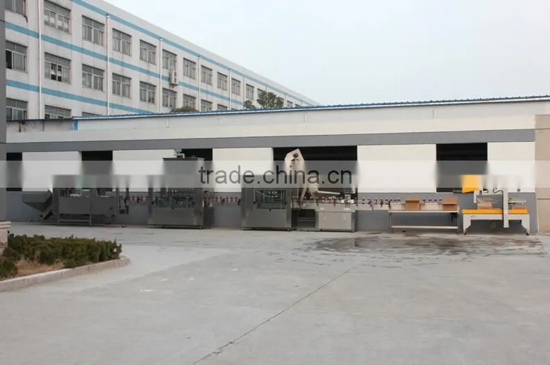 Hot saling low viscous filling line