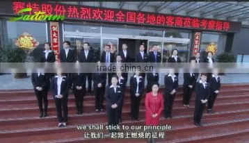Shandong Saite New Material Co., Ltd. company overview - view 4