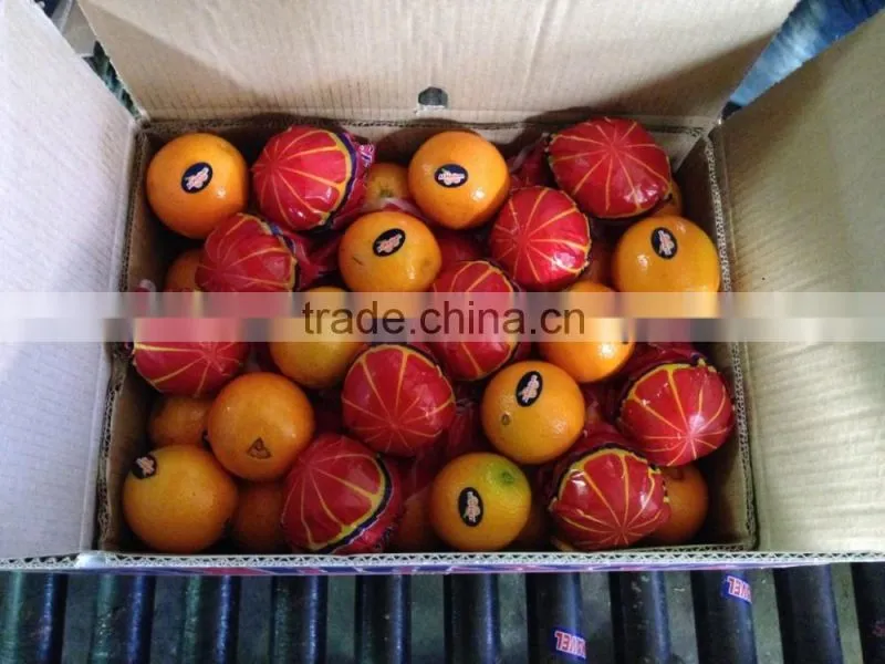 L'orange from Egypt