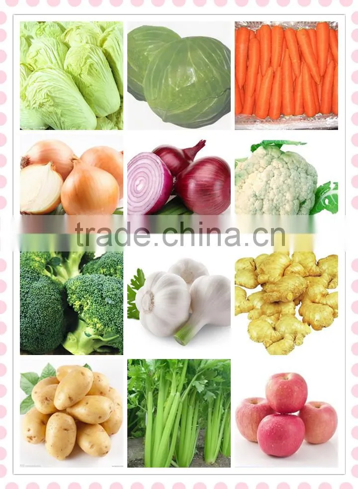fresh red onion from China